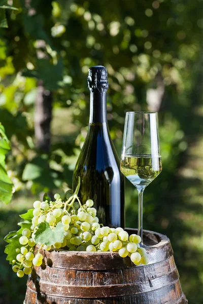 Flautas de Champagne y barril viejo en un viñedo — Foto de Stock