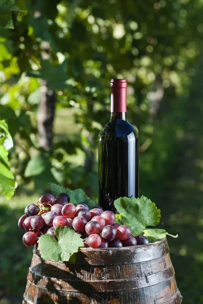 Red wine and old barrel in a vineyar — Stock Photo, Image