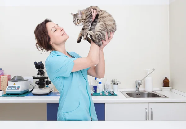 Jovem fêmea veterinária cuidar de um gato bonito — Fotografia de Stock