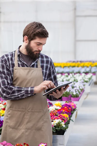 Young adult male garden worker — Stock Photo, Image