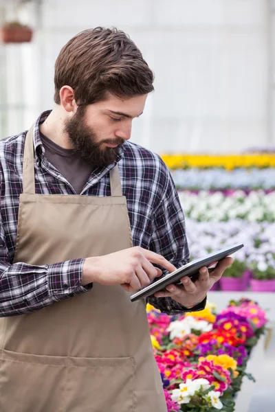 Male garden worker — Stock Photo, Image