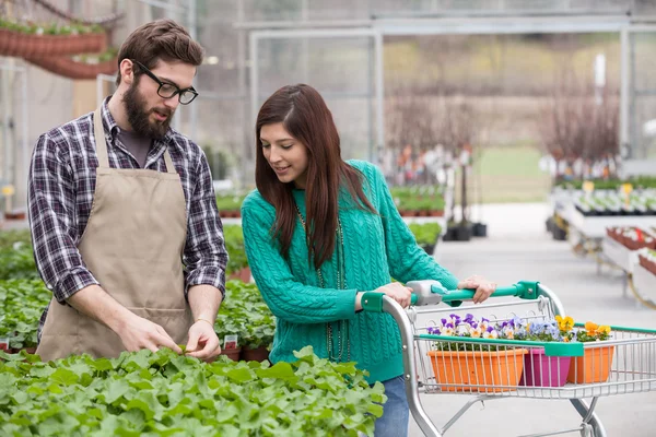 Femme achetant des plantes en pot — Photo