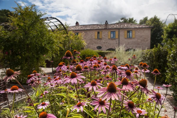 Tuscan çiftlik evi