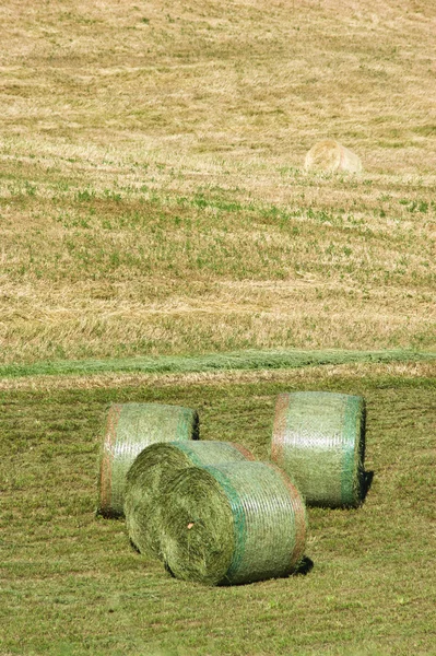 Zemědělství — Stock fotografie