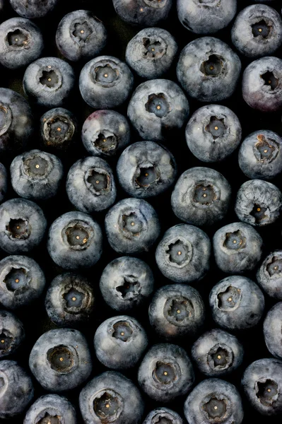 Bluberries — Stockfoto