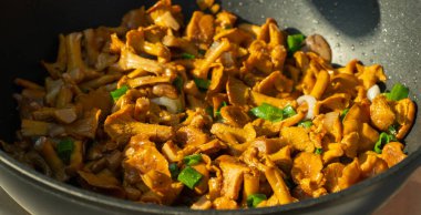 Kızarmış chanterelle mantarı kızartma tavasında. Seçici odaklanma. Sarı Cantharellus cibarius pişiriyorum. Mantarlı lezzetli yemek.