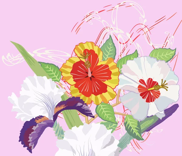 Hibiscus and Iris on a Pink Background — Stock Vector