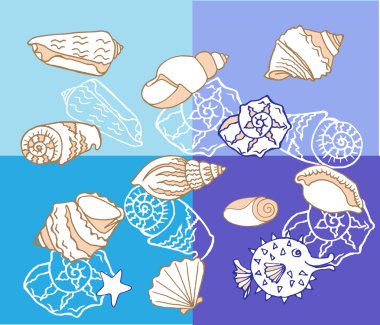 arka plan ile cockleshell