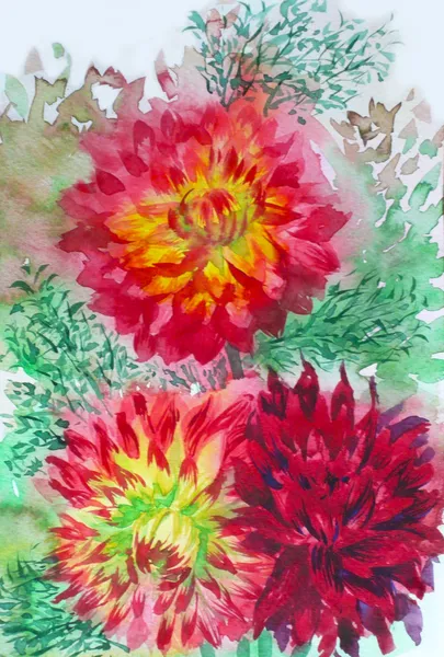 Dahlias — Stock Photo, Image