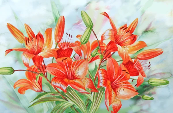 Red Lilies — Stock Photo, Image