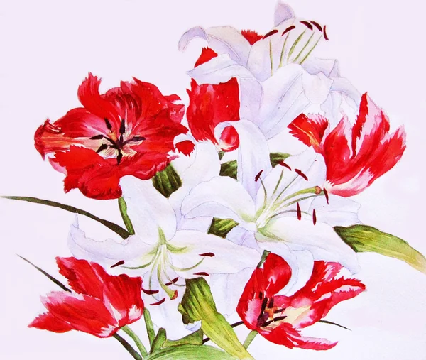 Červené tulipány a bílá lilie — Stock fotografie