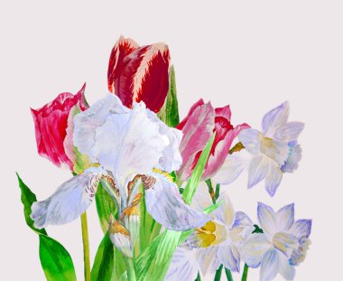 buket beyaz nergis ve iris ile