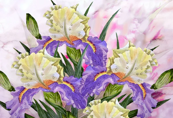Bouquet con iris gialli blu — Foto Stock