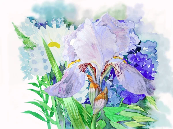 Boeket met iris en bloemen — Stockfoto