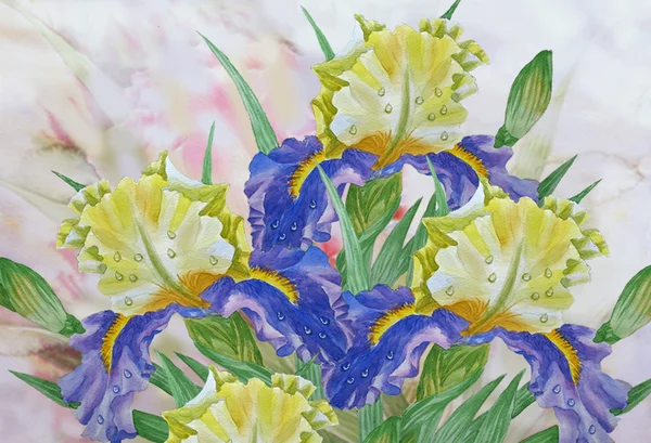 黄色青いアイリスの花束 — ストック写真
