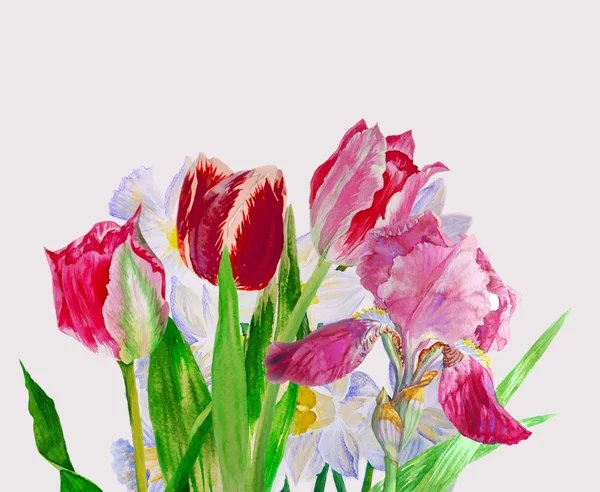 Strauß mit Tulpen und Iris — Stockfoto