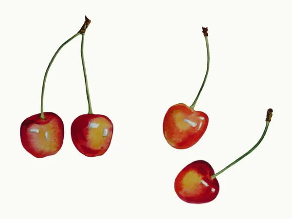 Cireșe roșii galbene — Fotografie, imagine de stoc