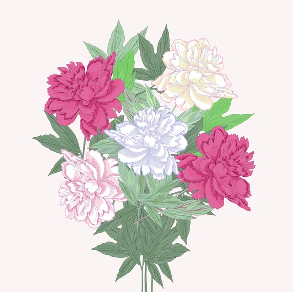 Bouquet with two pink and white peonies — Stock Vector