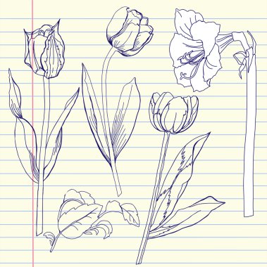 Tulip ve nergis zambağı ile defter