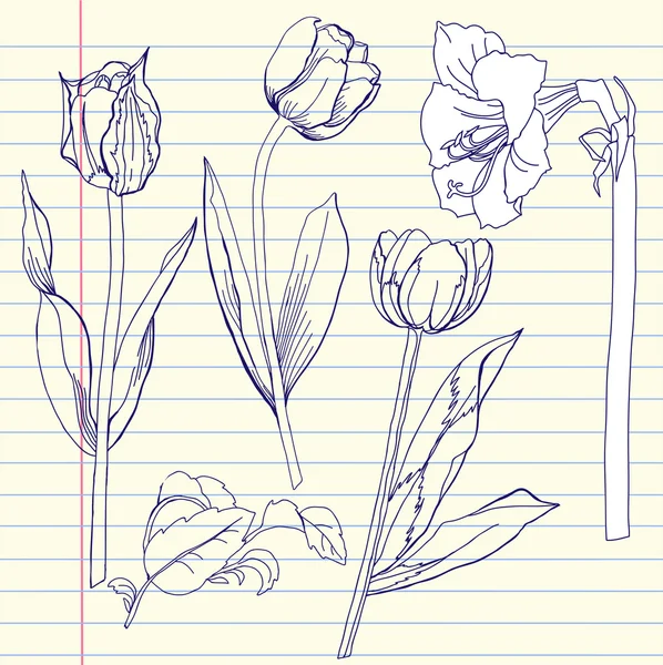 Set de cuadernos con tulipán y amarilis — Archivo Imágenes Vectoriales