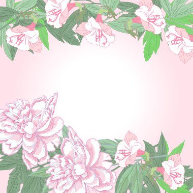 iki pembe peonies ve çiçekler ile arka plan