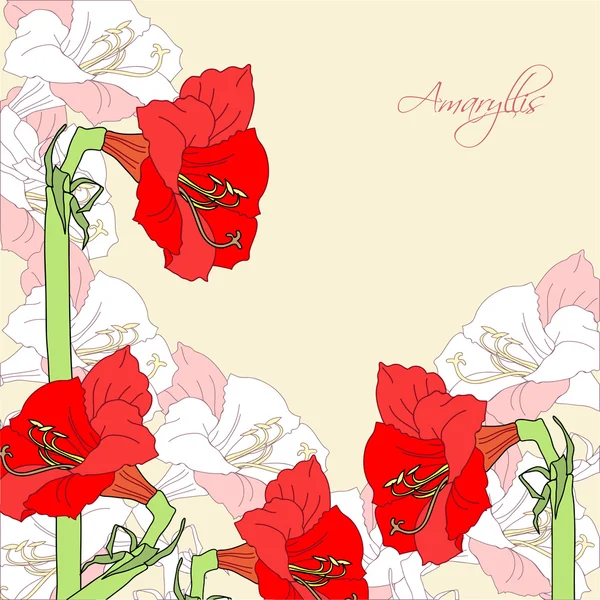 Fondo con amarilis rosado rojo — Vector de stock