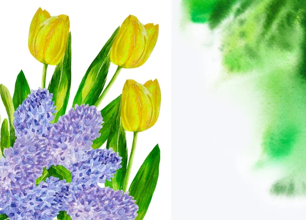 Hintergrund mit Hyazinthen und gelben Tulpen — Stockfoto