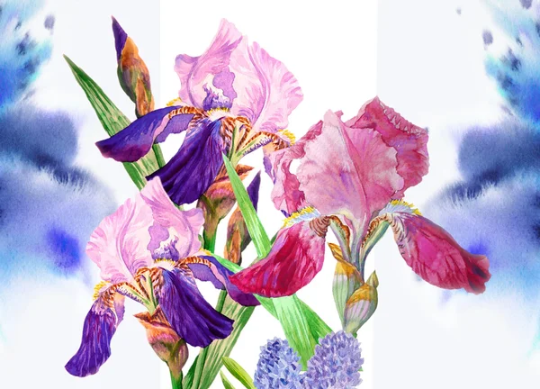 波尔多红酒的蓝色鸢尾花的背景 — 图库照片