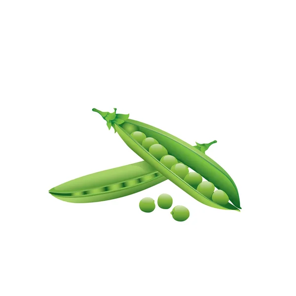 Green peas — Stock Vector