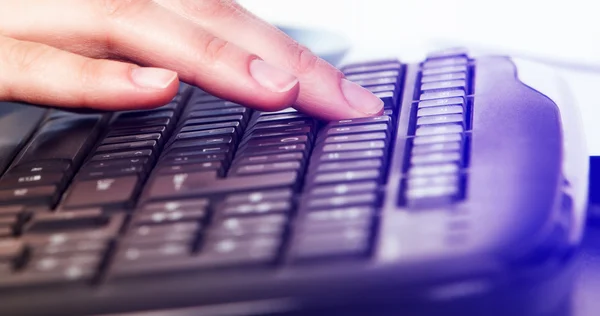 Female hands working on laptop — Stock Photo, Image