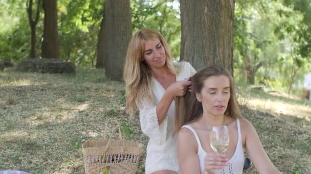Girl Braids Her Girlfriend Picnic Summer Park — Vídeo de Stock