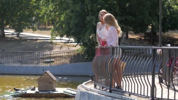 Twee Vriendinnen Staan Communiceren Bij Vijver Met Een Eendenhuis — Stockvideo