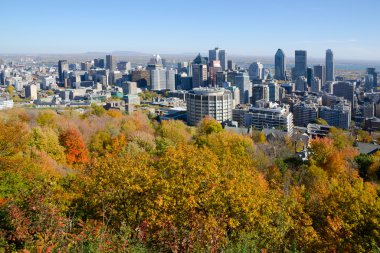 Montreal sırasında sonbahar yaprakları