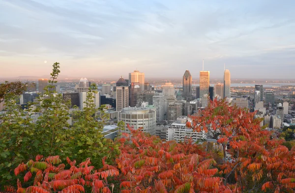 Montreal şehir — Stok fotoğraf