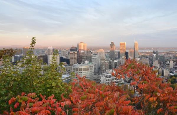 Montreal centro città — Foto Stock