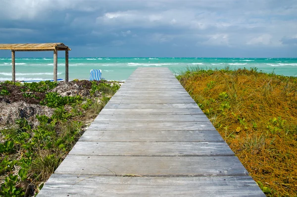yaya köprüsü tropikal plaj