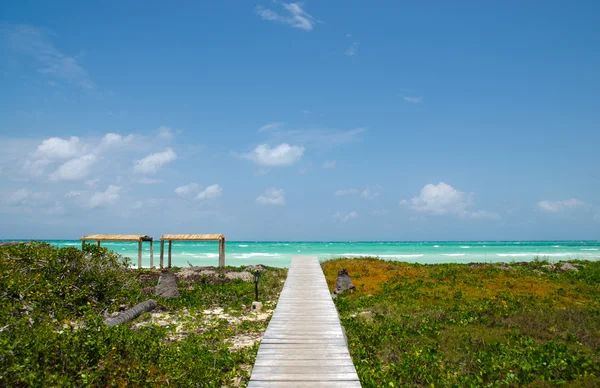 yaya köprüsü tropikal plaj