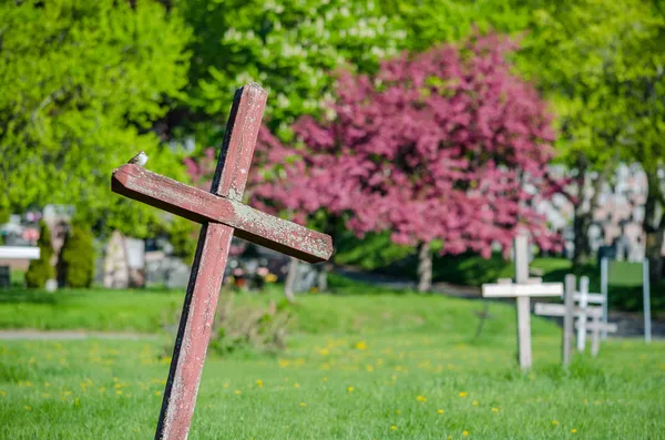 Croix rouge en bois dans un cimetière — Photo