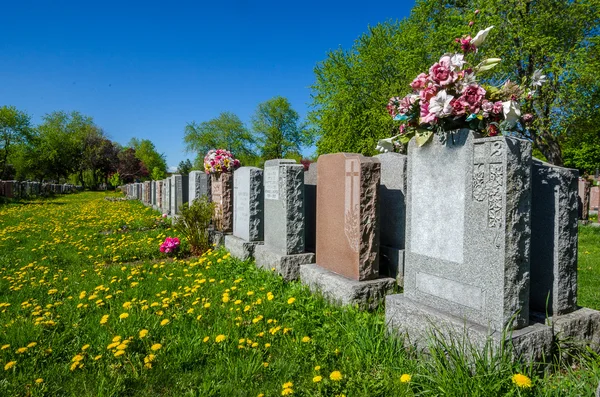 Uitgelijnde grafstenen in een begraafplaats — Stockfoto