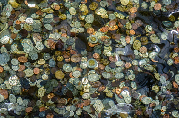 Kanadische Münzen zum Glück geworfen — Stockfoto