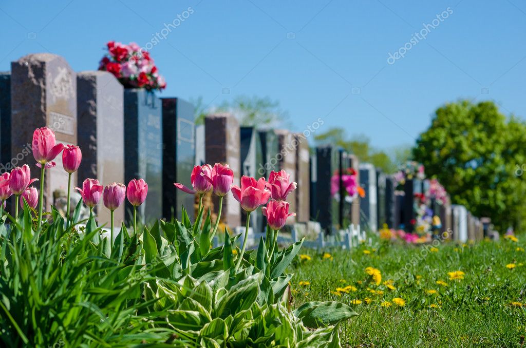 cementerio #hashtag