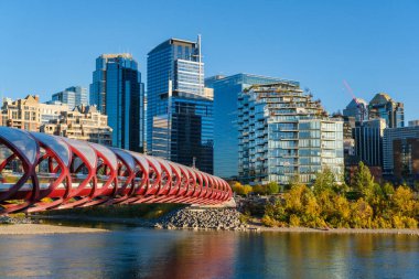 Calgary, Alberta, Kanada - 27 Eylül 2021: Sonbahar sezonunda Barış Köprüsü ve Calgary silueti