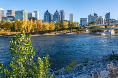 Calgary, Alberta, Kanada - 27 Eylül 2021: Sonbahar sezonunda Calgary Skyline ve Bow River