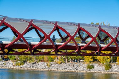 Calgary, Alberta, Kanada - 27 Eylül 2021: Sonbahar sezonunda Santiago Calatrava tarafından tasarlanan Barış Köprüsü manzarası