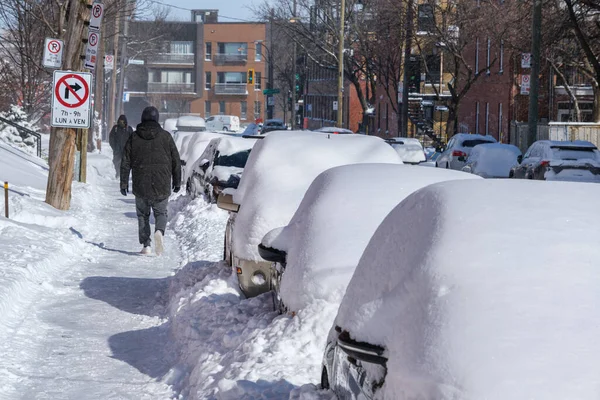 Montreal Kanada Lutego 2022 Samochody Pokryte Śniegiem Burzy Śnieżnej — Zdjęcie stockowe