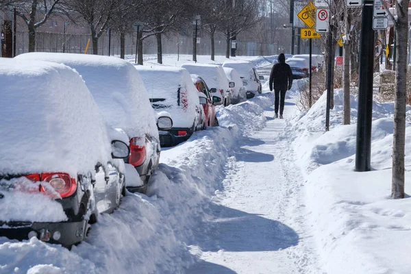 Montreal Canada Лютого 2022 Автомобілі Покриті Снігом Після Снігового Бурі — стокове фото