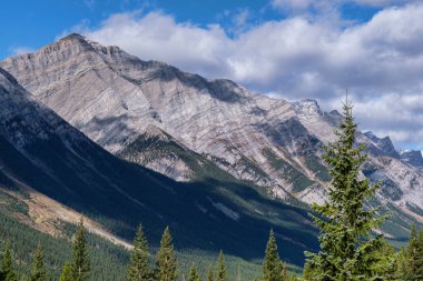 Sprey Vadisi İl Parkı - Kananaskis Ülkesi, Alberta, Kanada