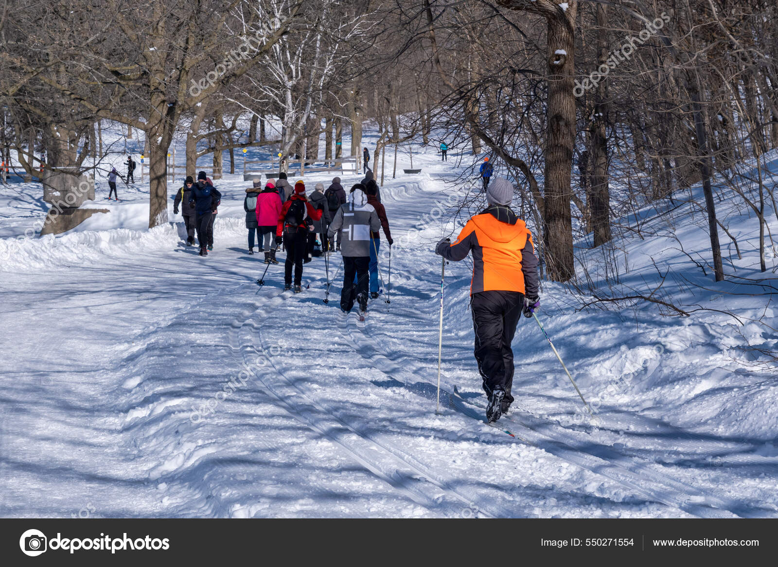 Montreal February 2022 People Walking Skiing Snowy Trail