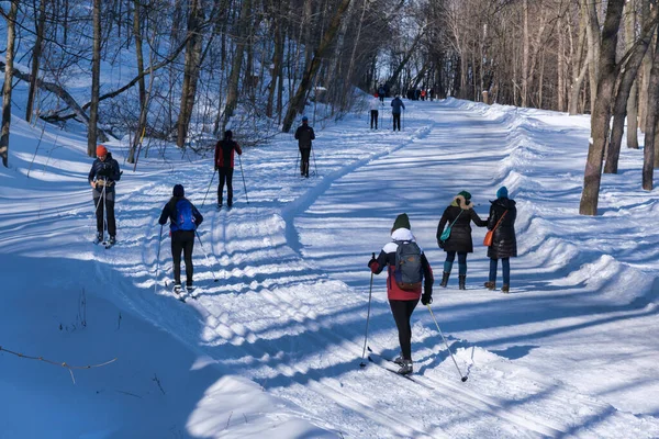Montreal Února 2022 Lidé Chodí Nebo Lyžují Zasněžené Stezce Montrealu — Stock fotografie