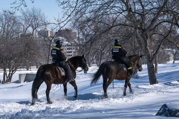 モントリオール 2月2022 Rcmpマウントロイヤルをパトロールする警察官 — ストック写真